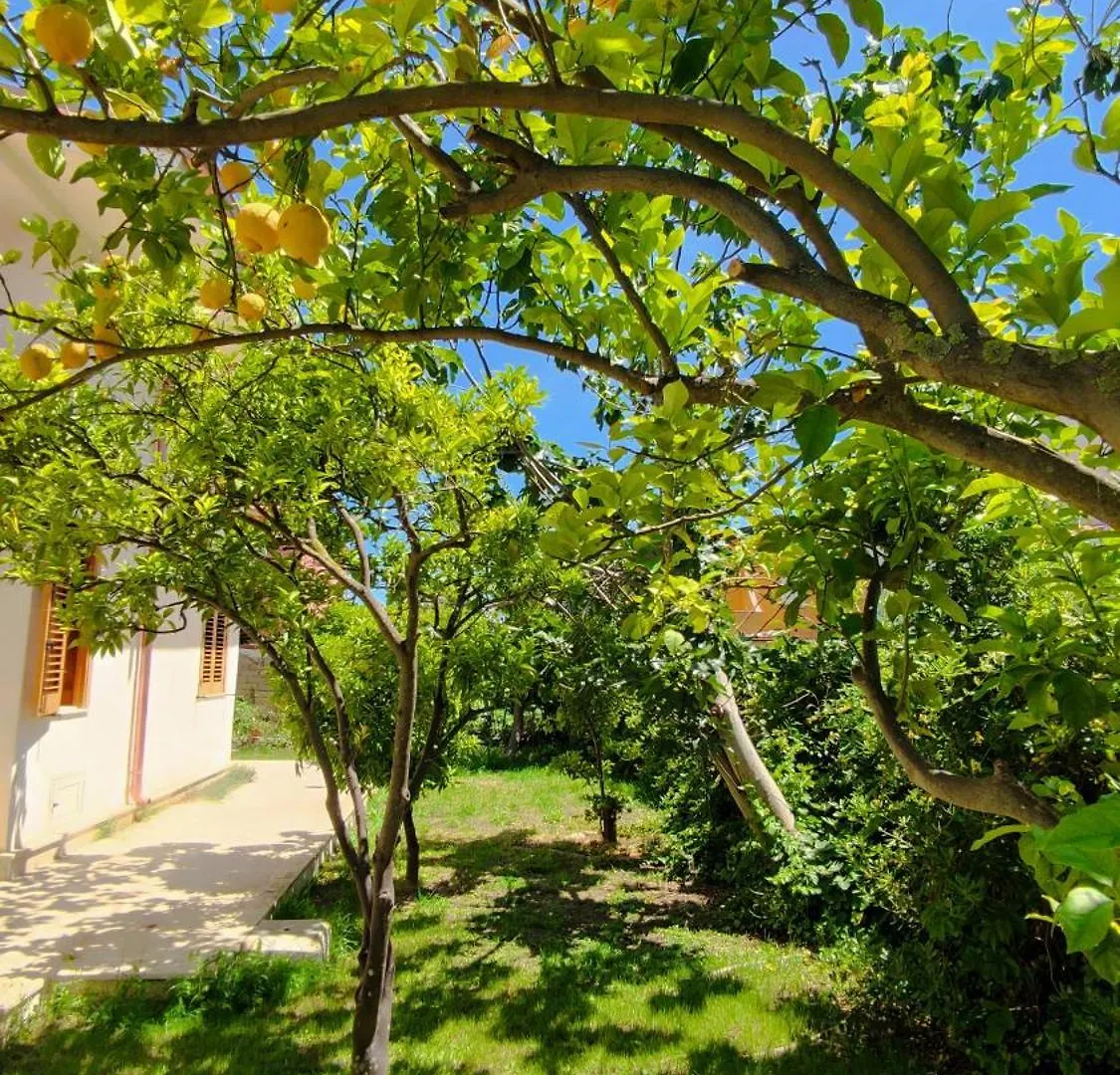 Villa Sofia Terrauzza Italy